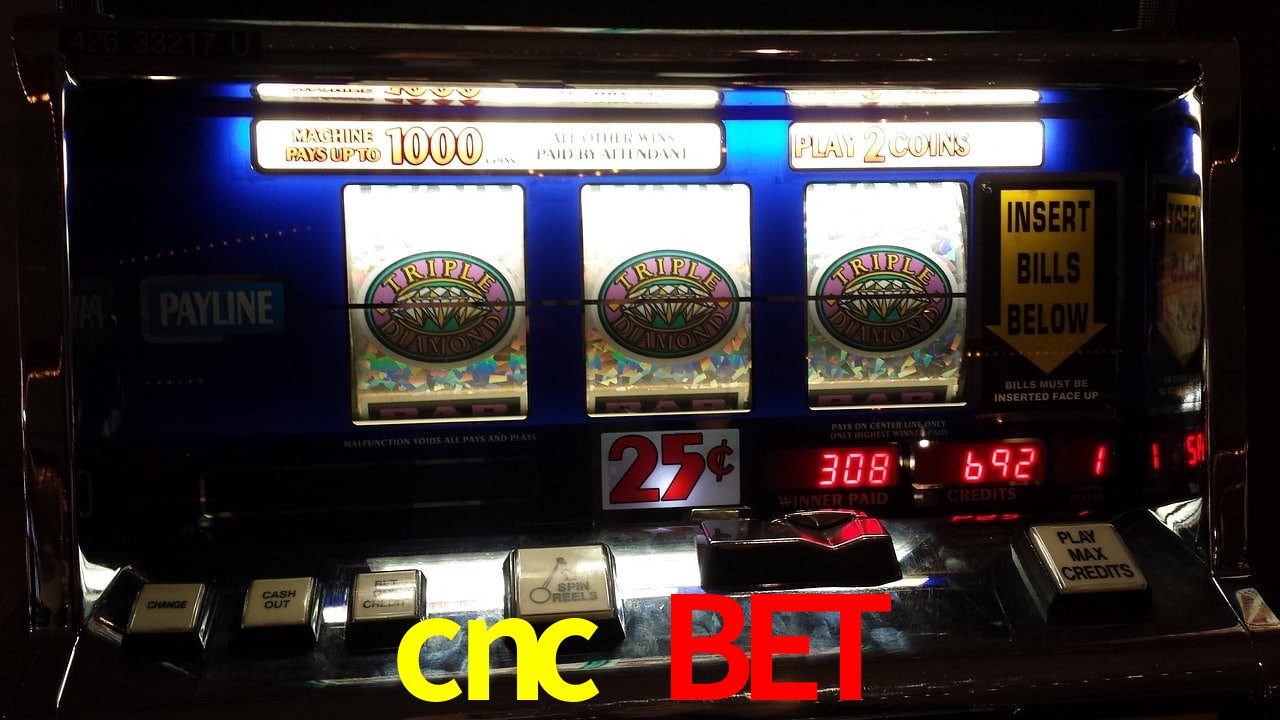 Experiência VIP cnc bet