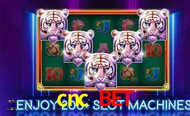 Infográfico RTP jogos de cassino cnc bet