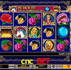 cnc bet Belo Horizonte - Reivindique Bonus